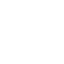 Home insurance icon